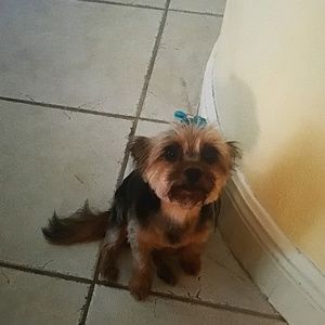 Meet your Posher, Marcelle